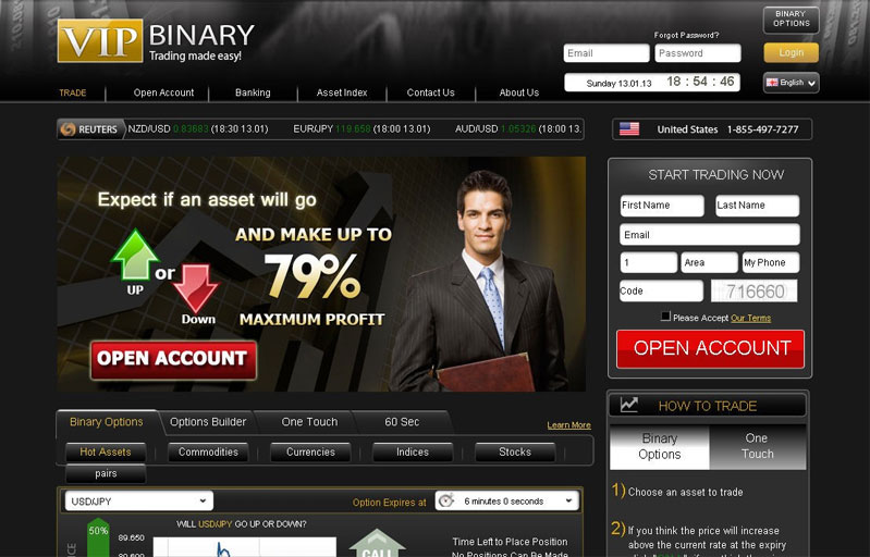 VIPBinary Broker Website Screenshot