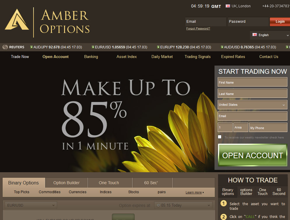 Amber Options Broker Website Screenshot