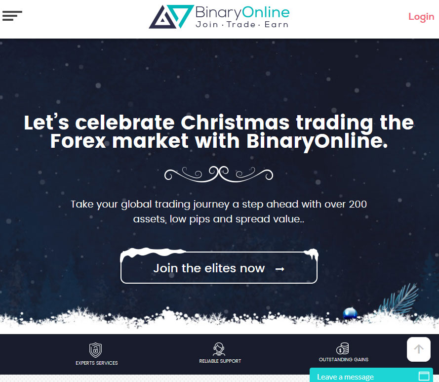 Binary Online Broker Website Screenshot