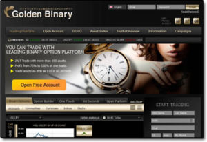 Golden Binary Broker Website Screenshot
