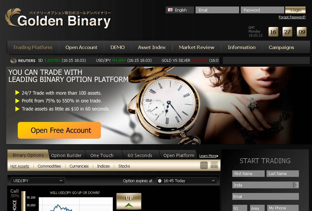 Golden Binary Broker Website Screenshot